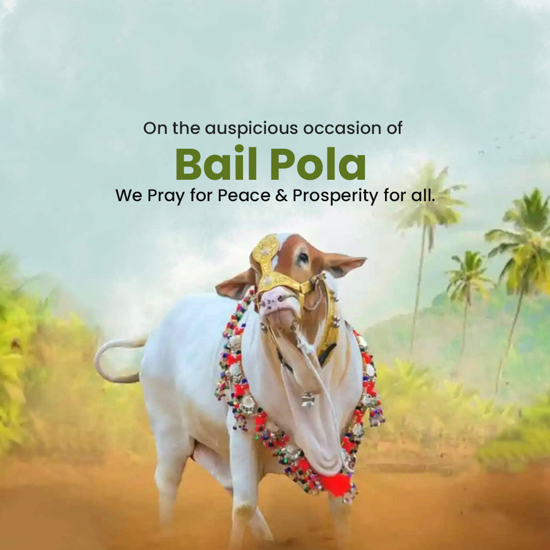 Bail Pola