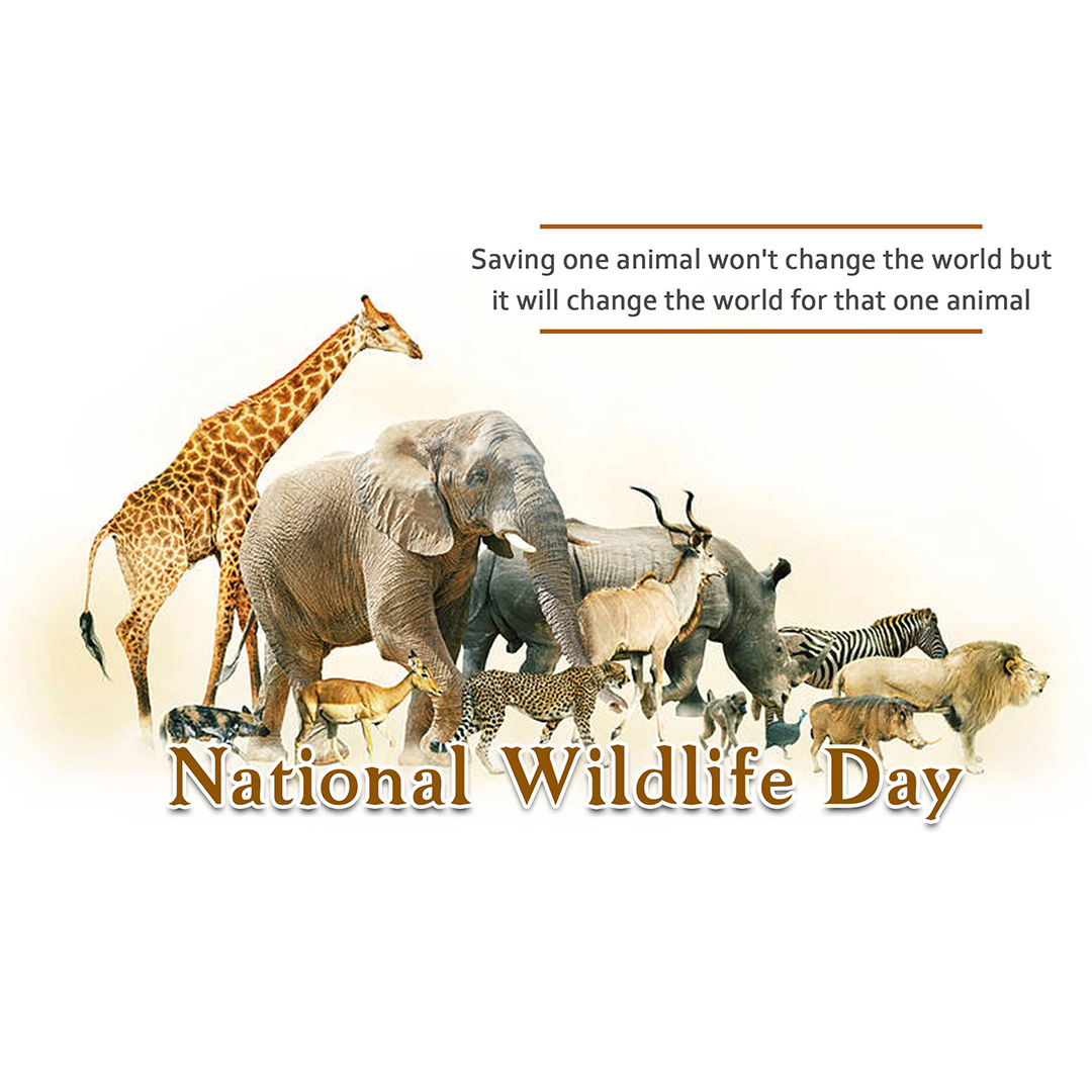 National Animal Day