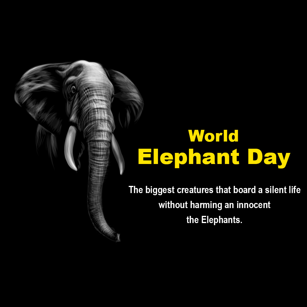 World Elephant Day