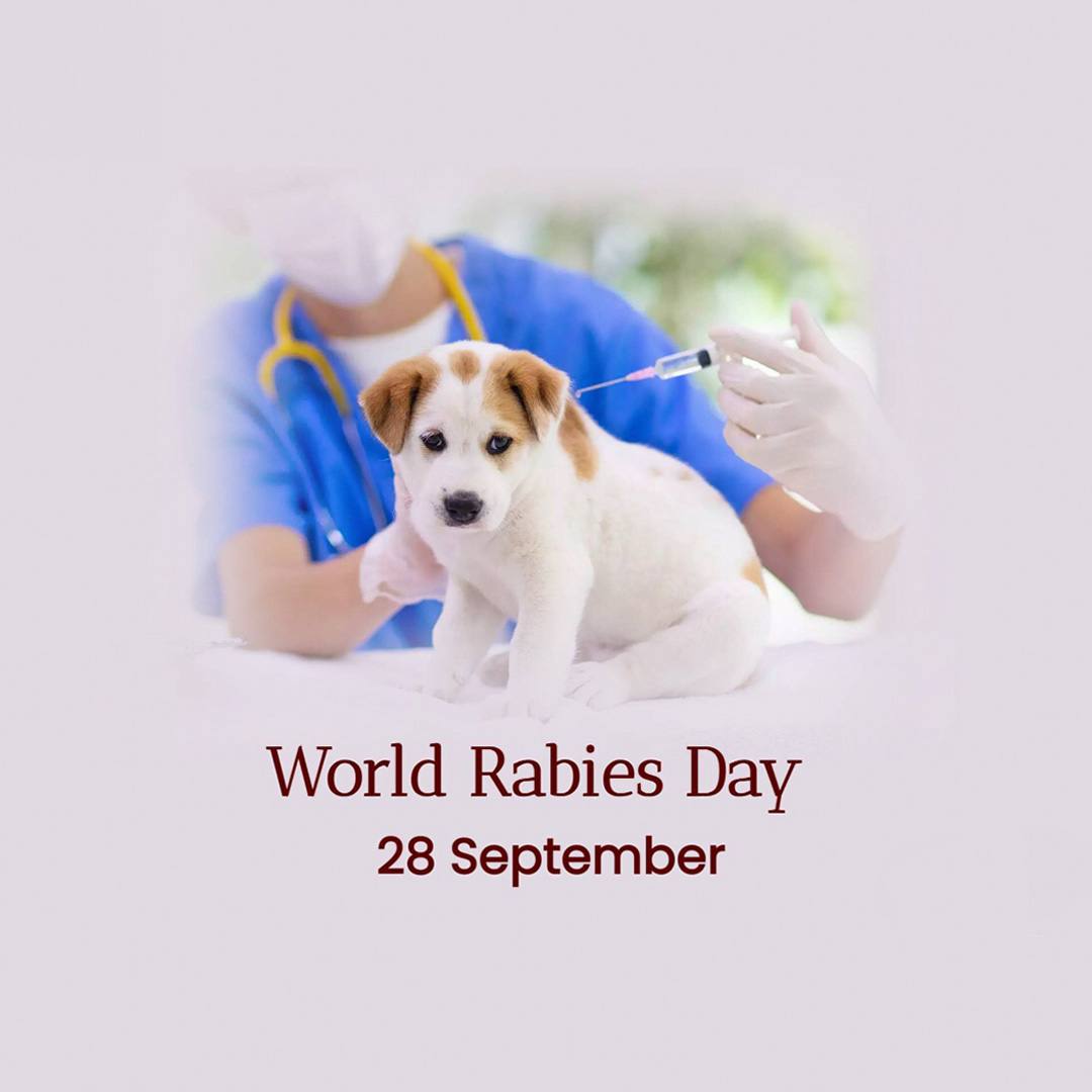 World Rabies Day
