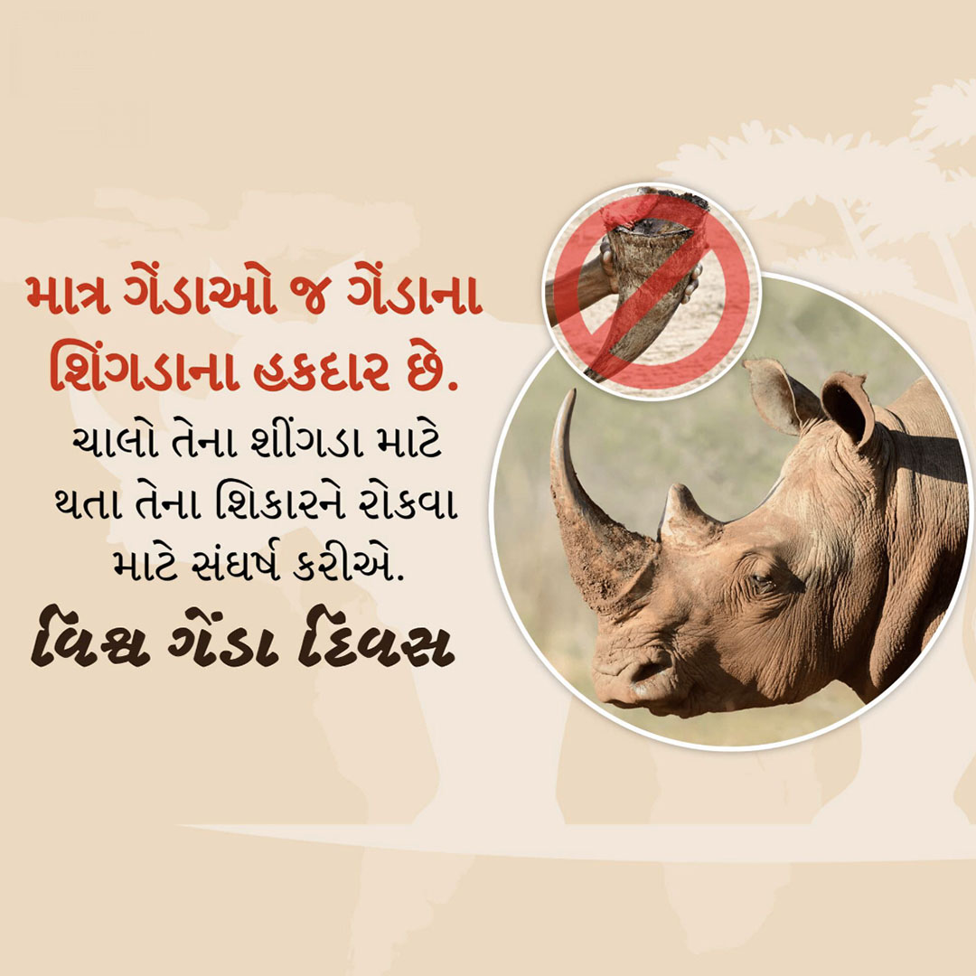 World Rhino Day