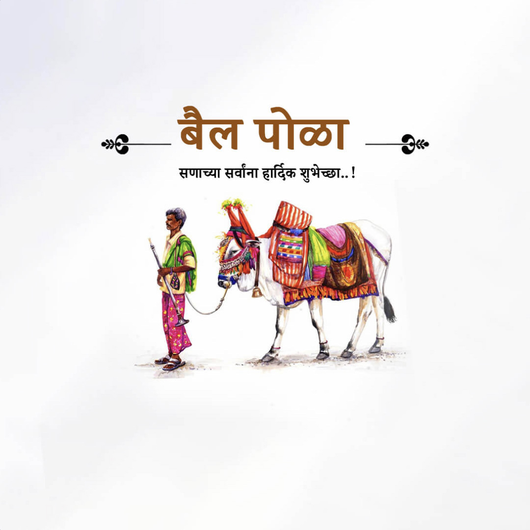 Bail Pola
