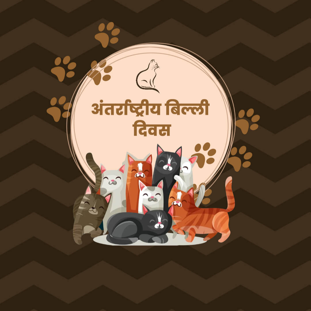 World Cat Day