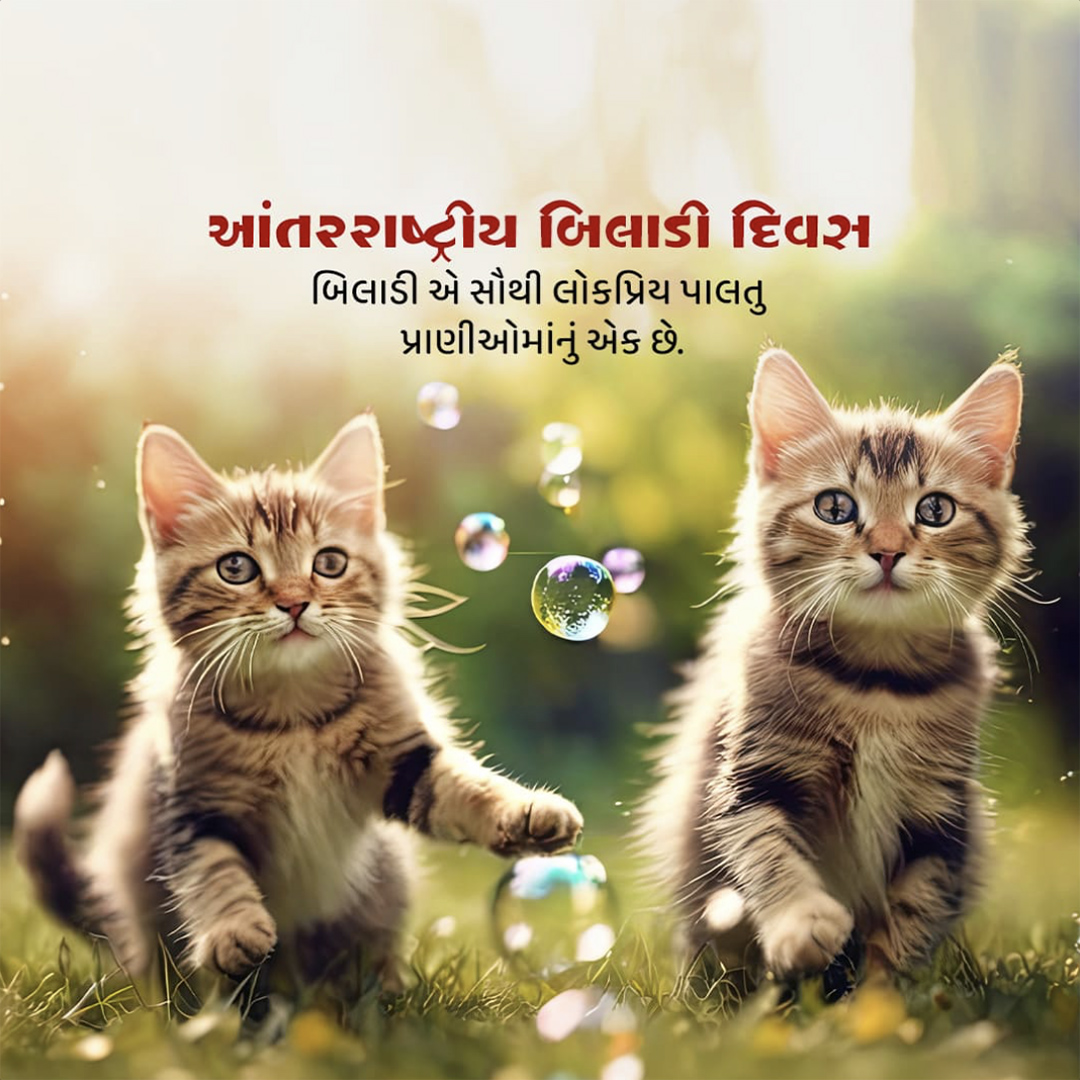 World Cat Day