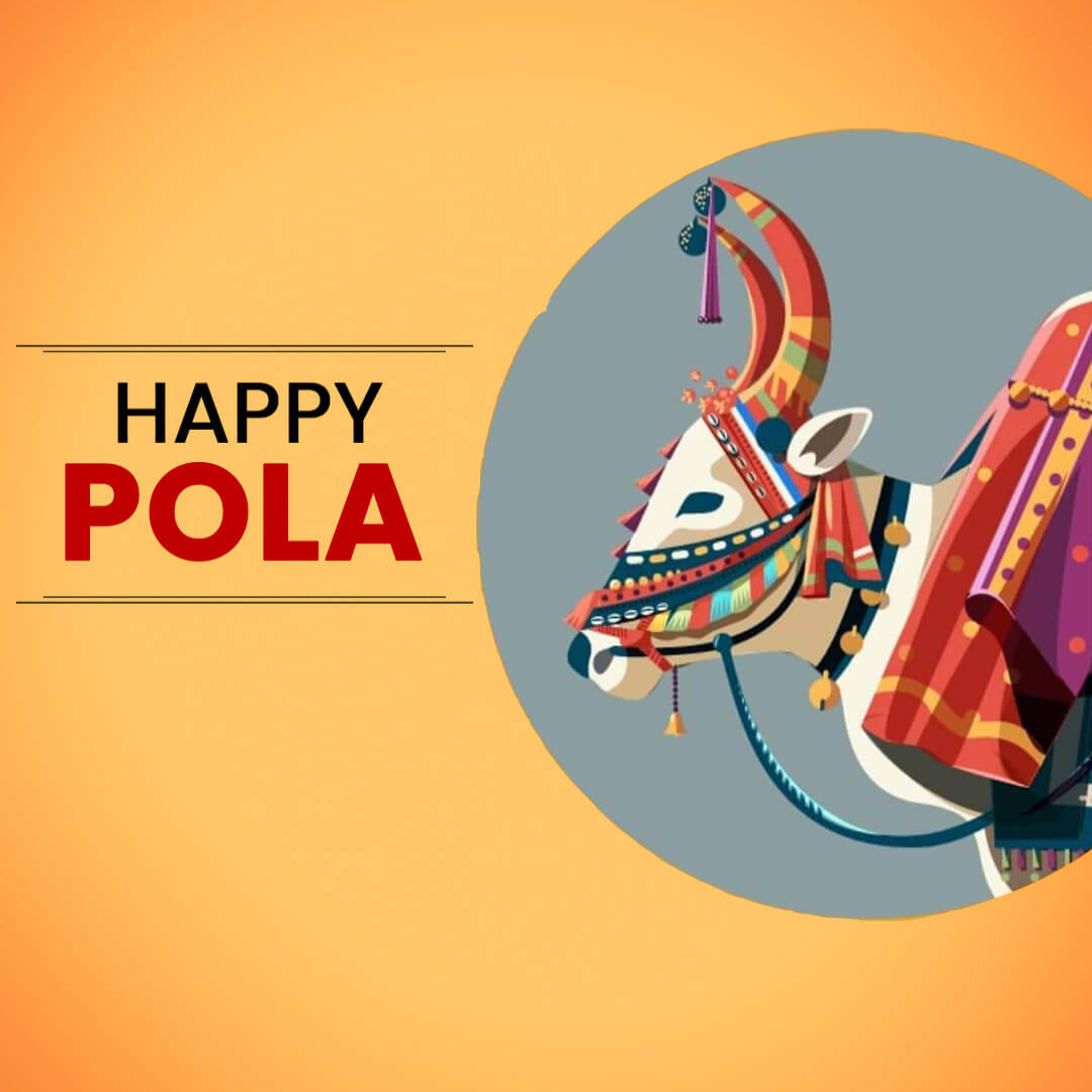 Bail Pola