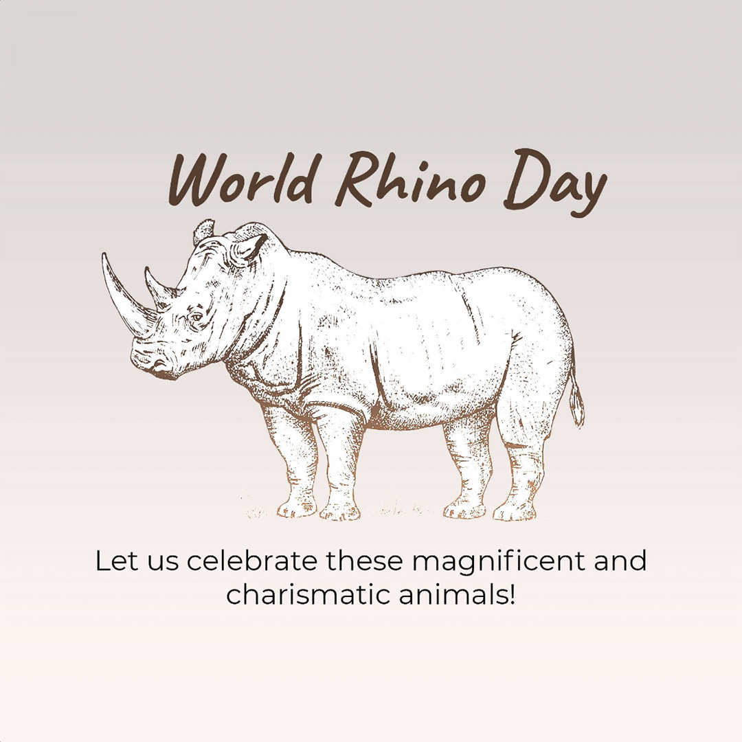 World Rhino Day