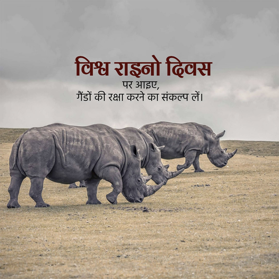 World Rhino Day