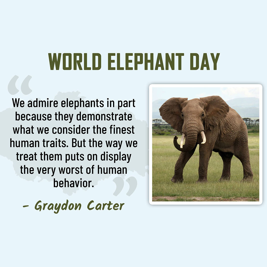 World Elephant Day