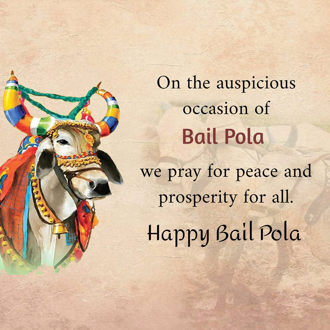 Bail Pola