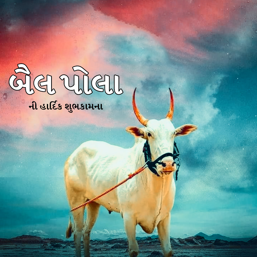 Bail Pola