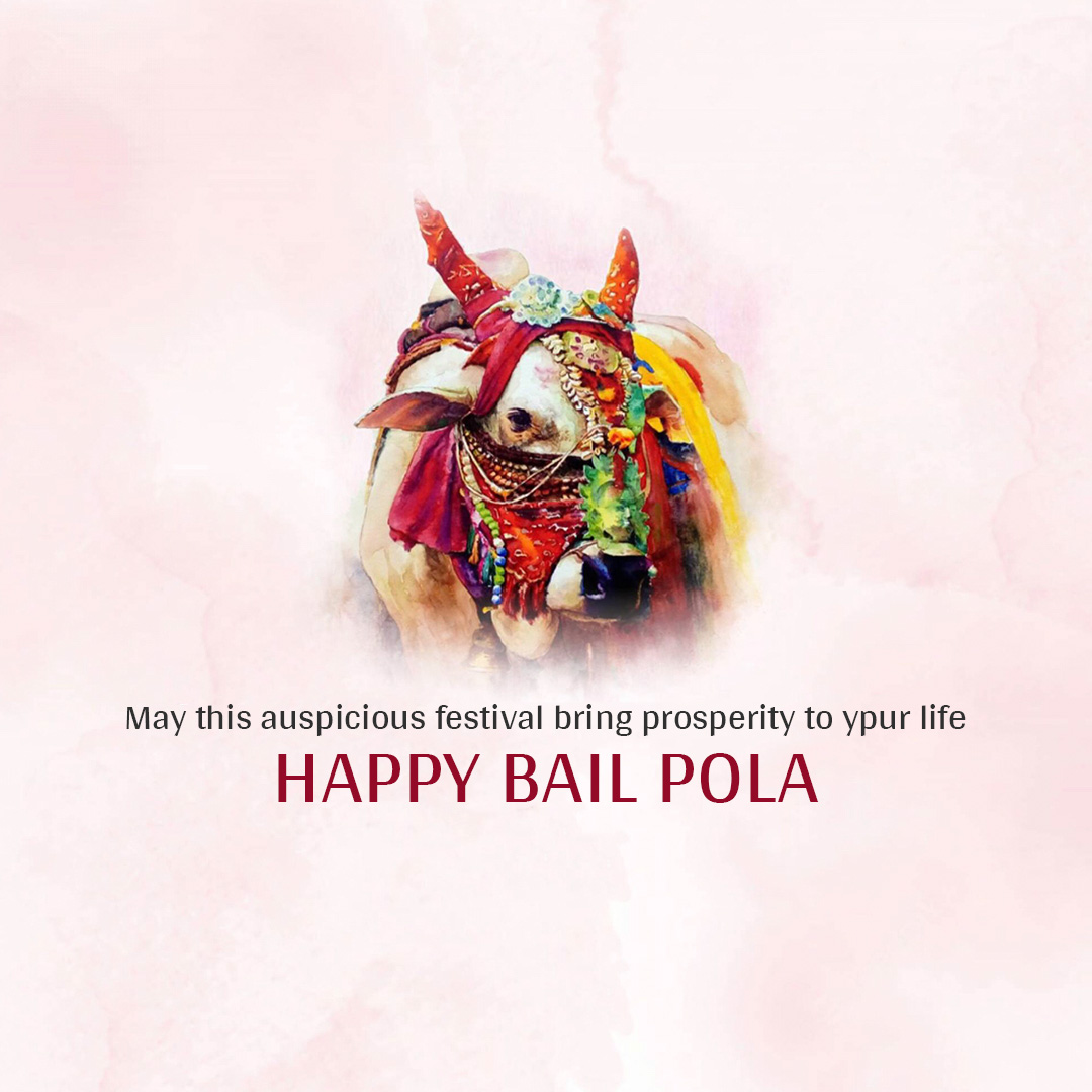 Bail Pola
