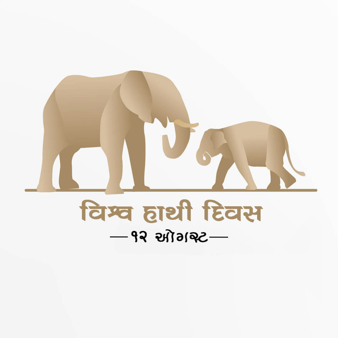 World Elephant Day