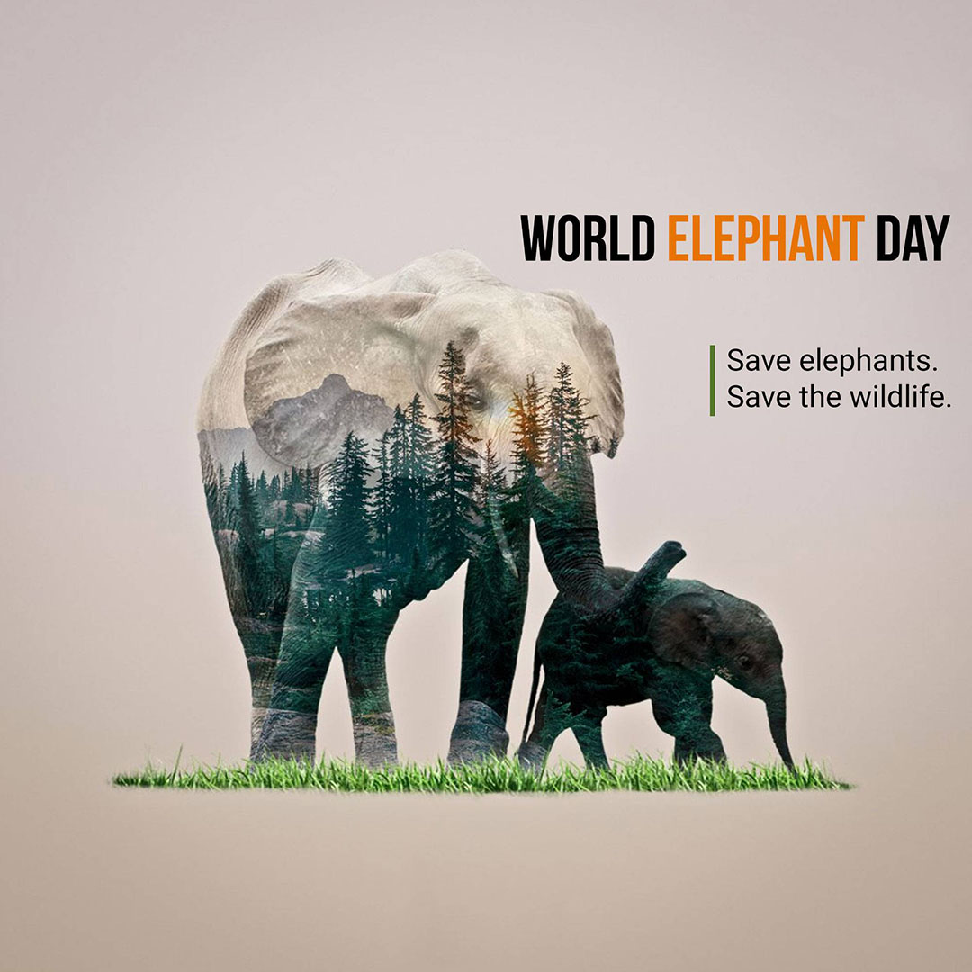 World Elephant Day