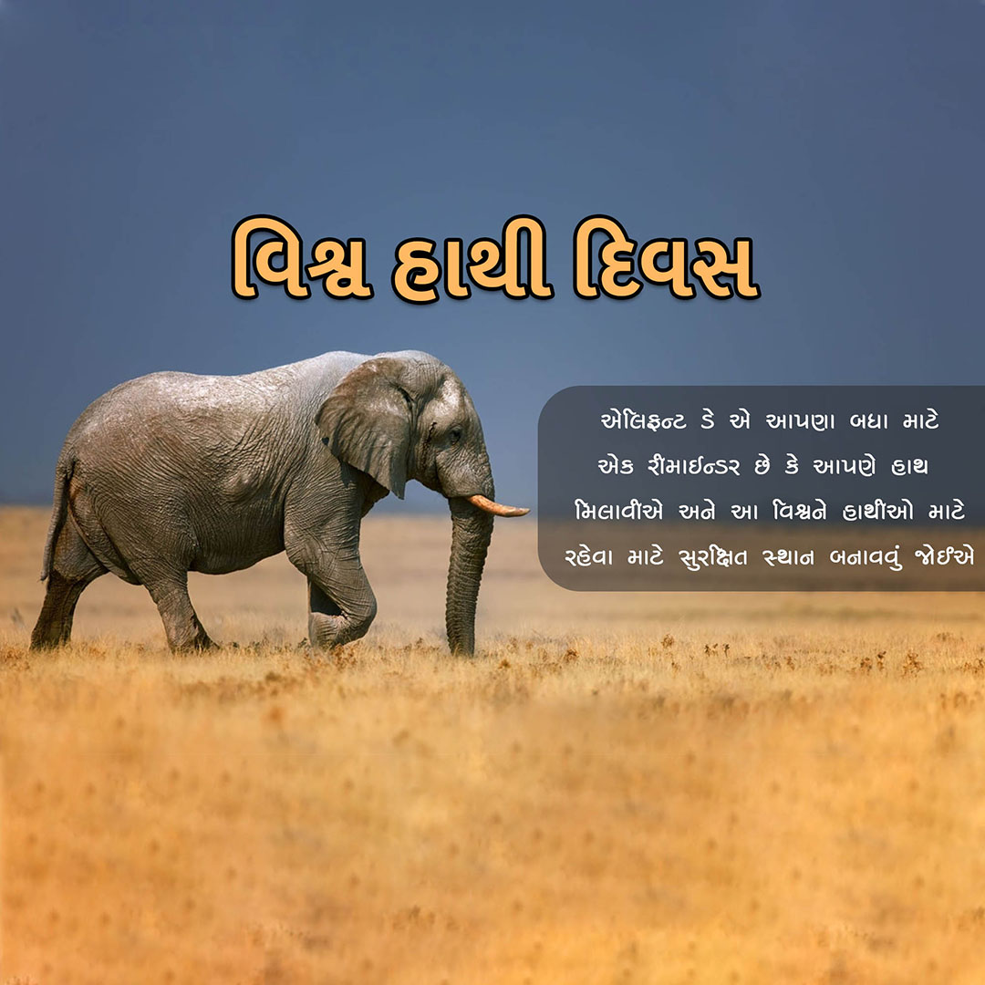 World Elephant Day