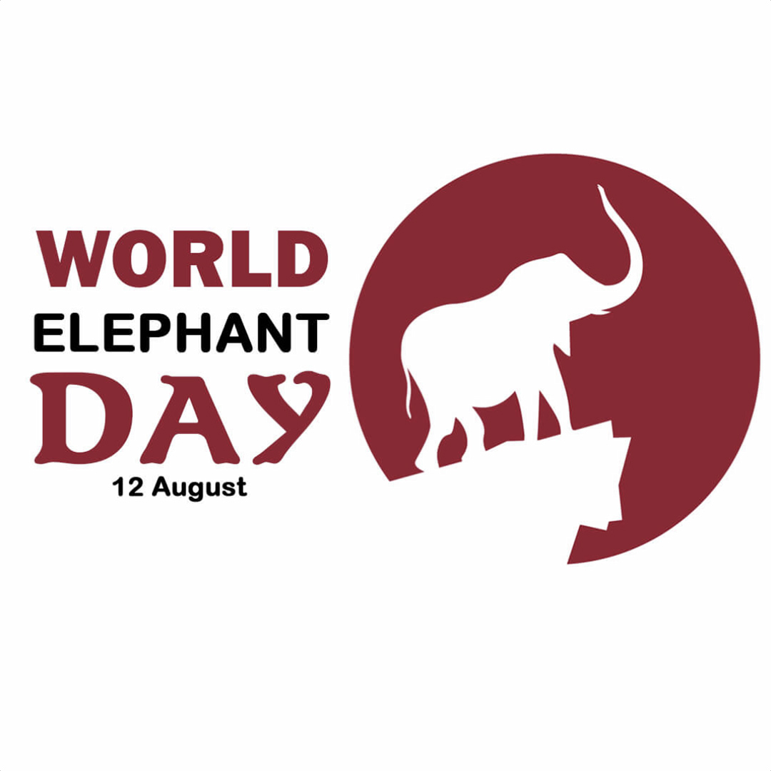 World Elephant Day
