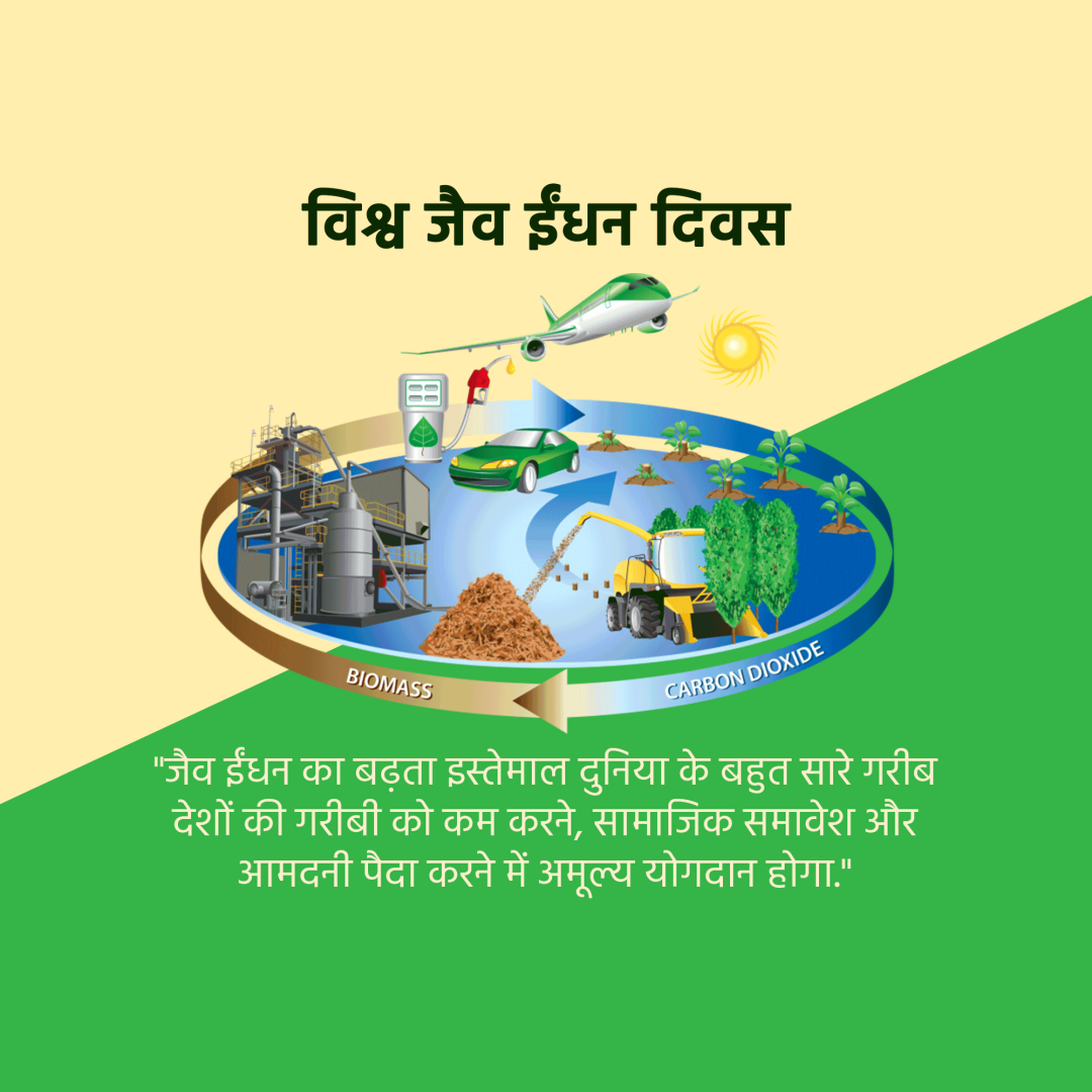 World Biofuel Day